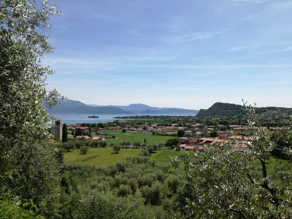 Bellerive Ristorante